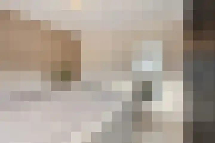 Hoge Stelle 22 Nieuw- en Sint Joosland thumbnail 27
