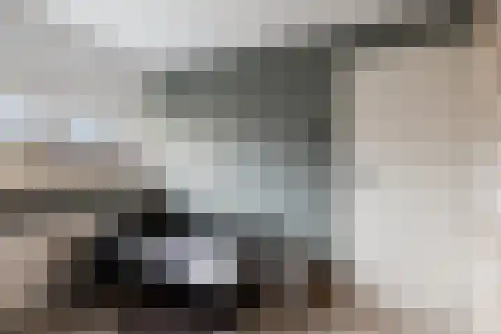 Hoge Stelle 22 Nieuw- en Sint Joosland thumbnail 29