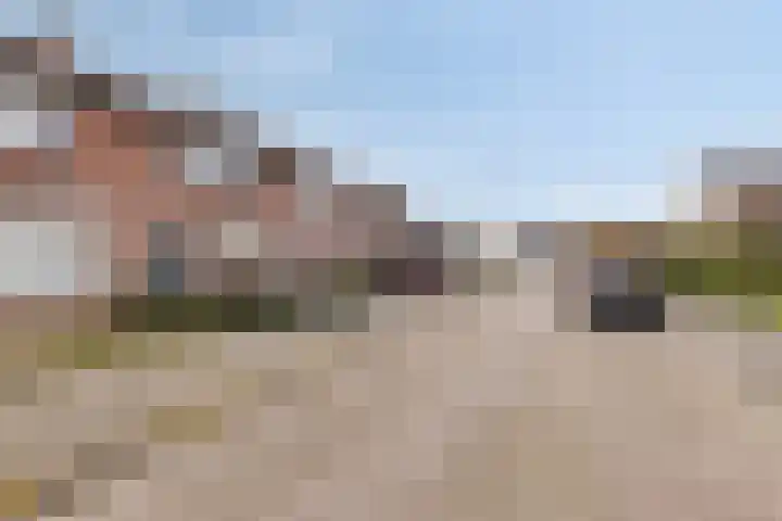 Hoge Stelle 22 Nieuw- en Sint Joosland foto 3