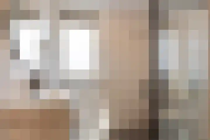Hoge Stelle 22 Nieuw- en Sint Joosland thumbnail 32