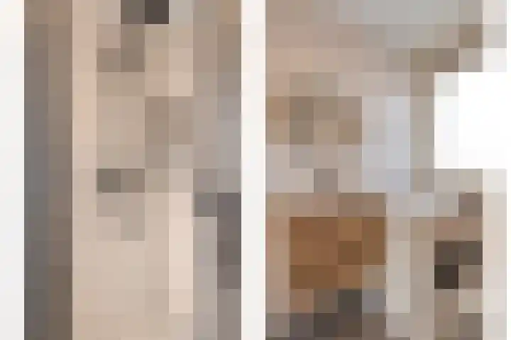 Hoge Stelle 22 Nieuw- en Sint Joosland thumbnail 33