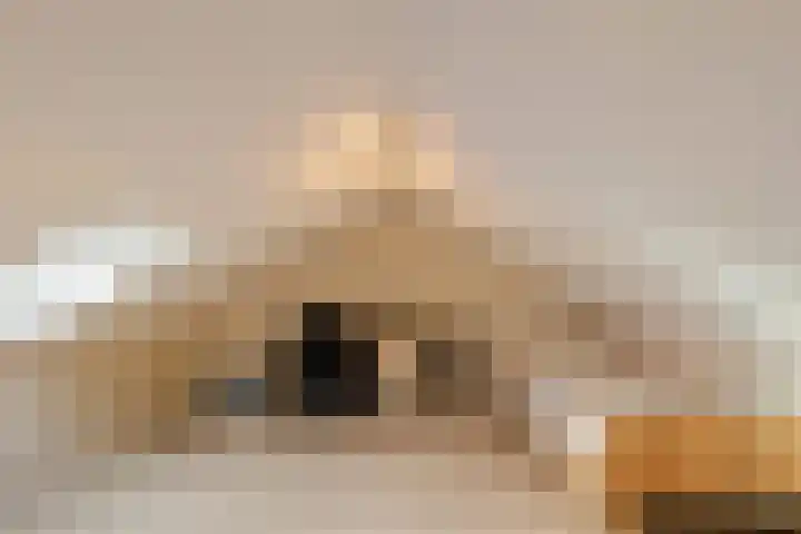 Hoge Stelle 22 Nieuw- en Sint Joosland thumbnail 35