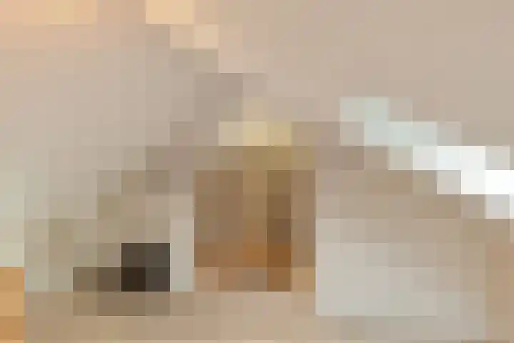 Hoge Stelle 22 Nieuw- en Sint Joosland thumbnail 36