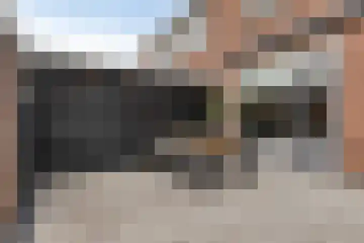 Hoge Stelle 22 Nieuw- en Sint Joosland thumbnail 41