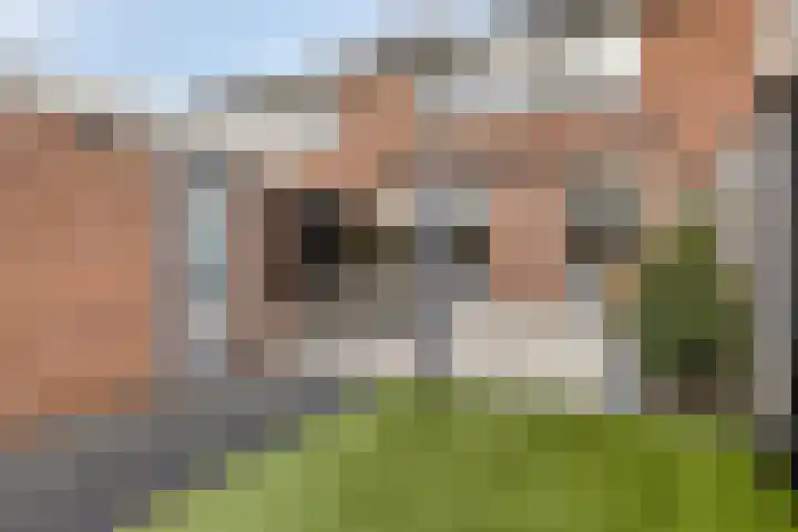 Hoge Stelle 22 Nieuw- en Sint Joosland thumbnail 42
