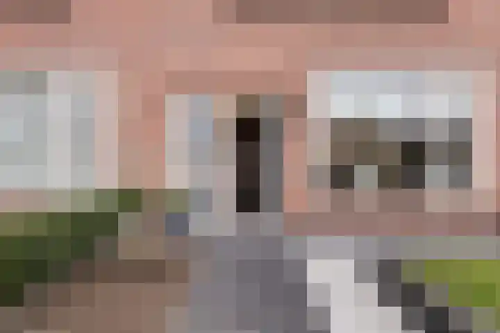 Hoge Stelle 22 Nieuw- en Sint Joosland thumbnail 5
