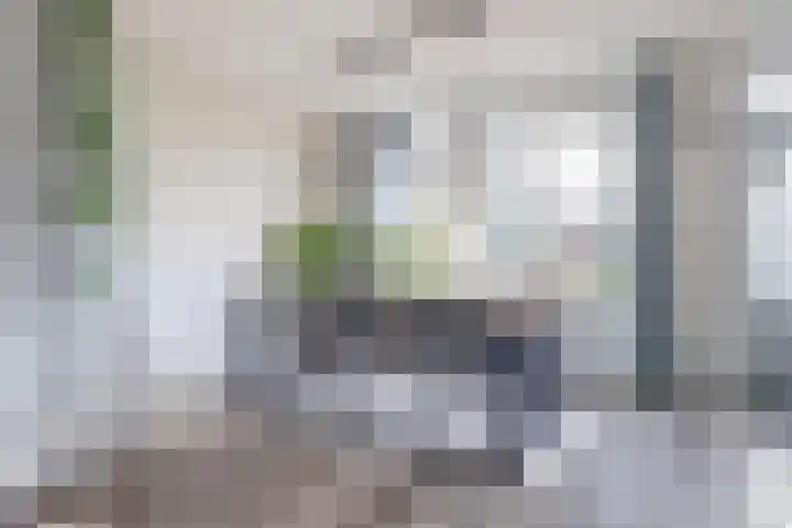 Hoge Stelle 31 Nieuw- en Sint Joosland thumbnail 11