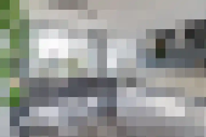 Hoge Stelle 31 Nieuw- en Sint Joosland thumbnail 12