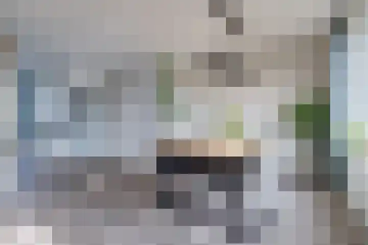 Hoge Stelle 31 Nieuw- en Sint Joosland thumbnail 13