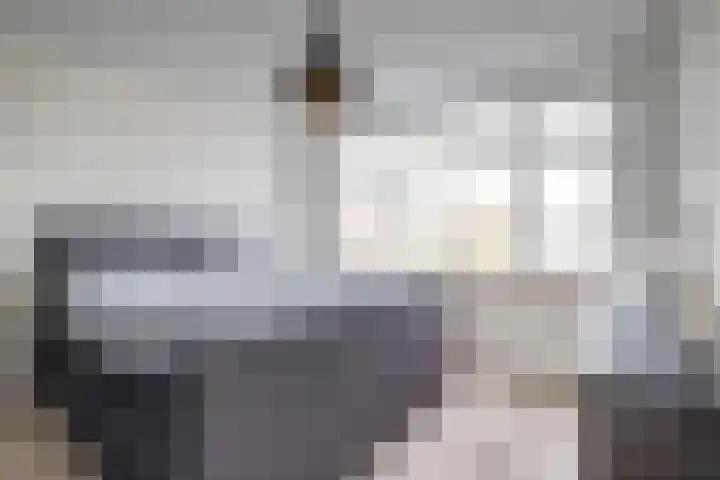 Hoge Stelle 31 Nieuw- en Sint Joosland thumbnail 16