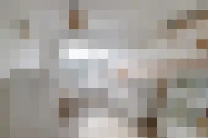 Hoge Stelle 31 Nieuw- en Sint Joosland thumbnail 20