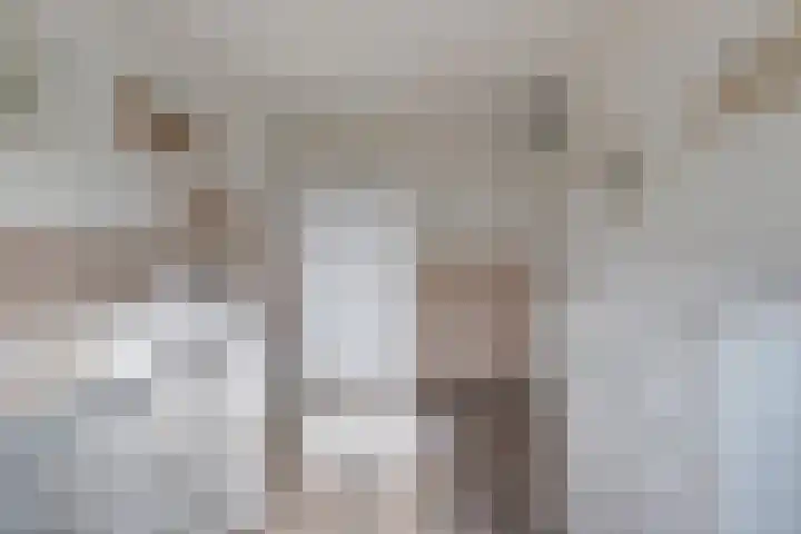Hoge Stelle 31 Nieuw- en Sint Joosland thumbnail 21