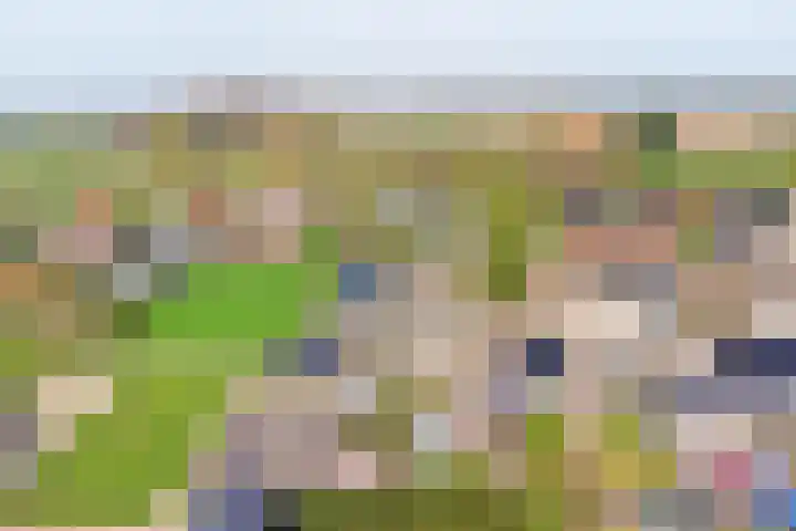 Hoge Stelle 31 Nieuw- en Sint Joosland thumbnail 26