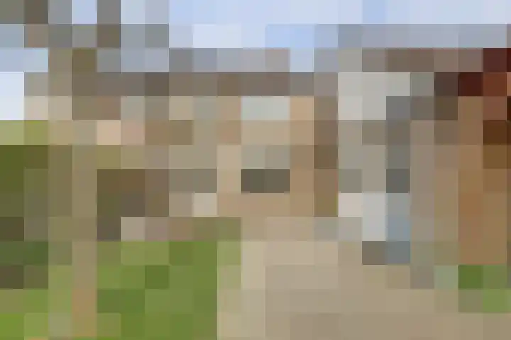 Hoge Stelle 31 Nieuw- en Sint Joosland thumbnail 28
