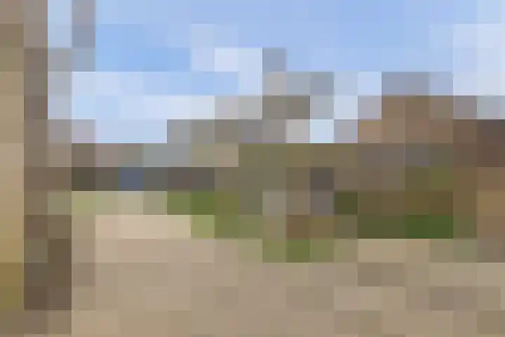 Hoge Stelle 31 Nieuw- en Sint Joosland thumbnail 30