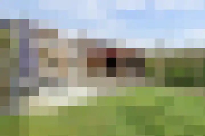 Hoge Stelle 31 Nieuw- en Sint Joosland thumbnail 31