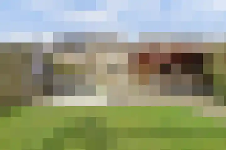 Hoge Stelle 31 Nieuw- en Sint Joosland thumbnail 33