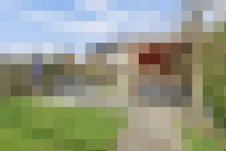 Hoge Stelle 31 Nieuw- en Sint Joosland thumbnail 34