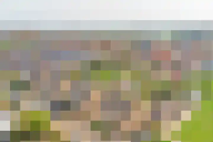 Hoge Stelle 31 Nieuw- en Sint Joosland thumbnail 35