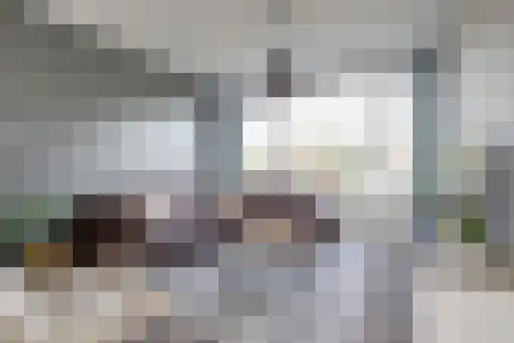 Hoge Stelle 31 Nieuw- en Sint Joosland thumbnail 7