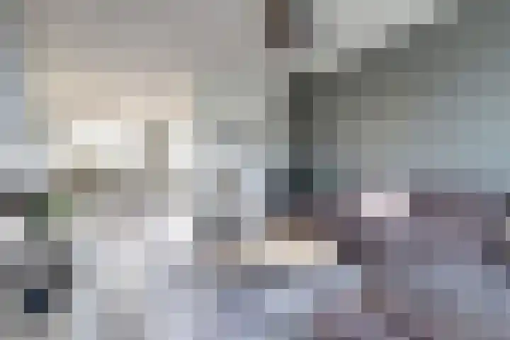 Hoge Stelle 31 Nieuw- en Sint Joosland thumbnail 8