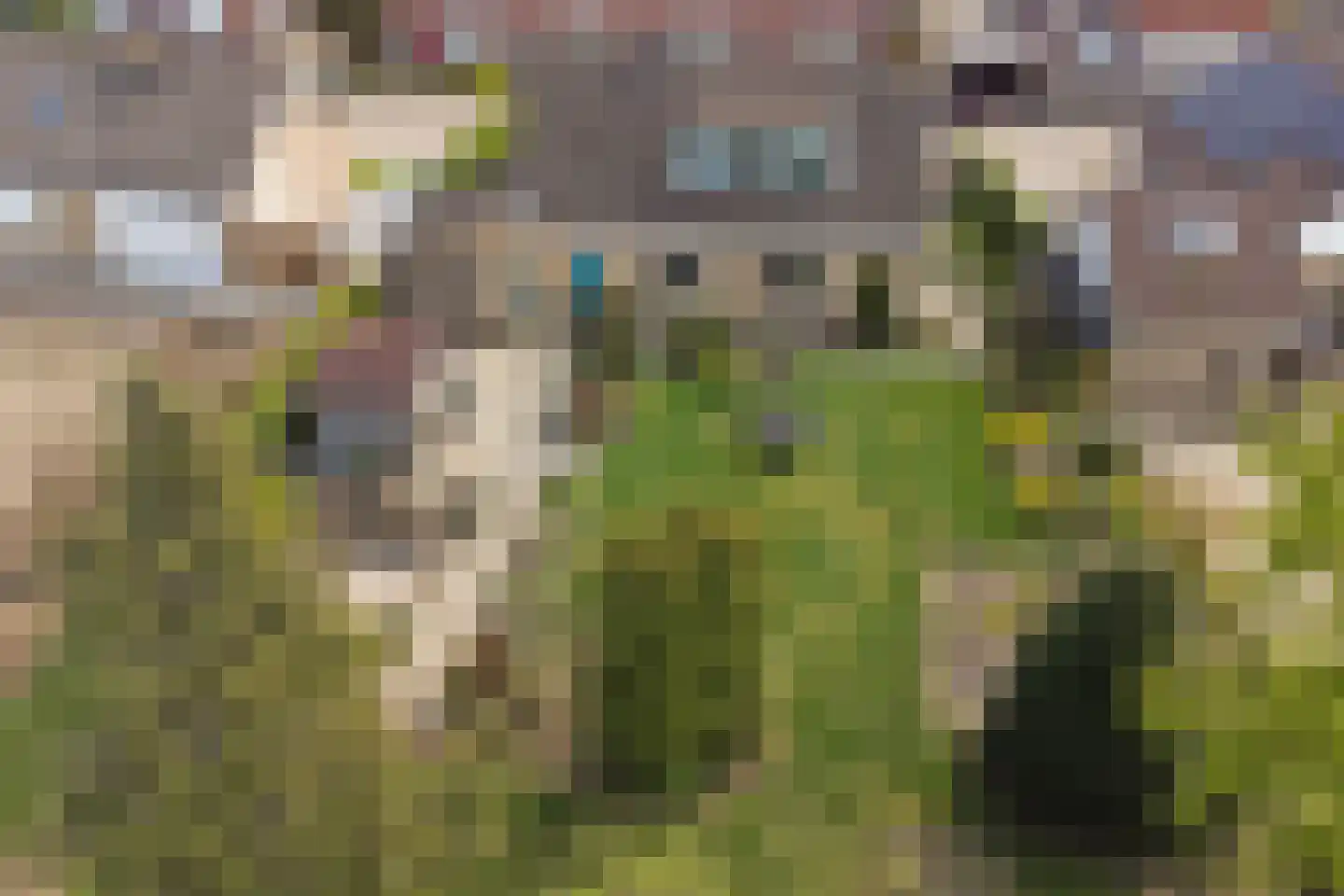 Hoge Stelle 49 Nieuw- en Sint Joosland thumbnail 37