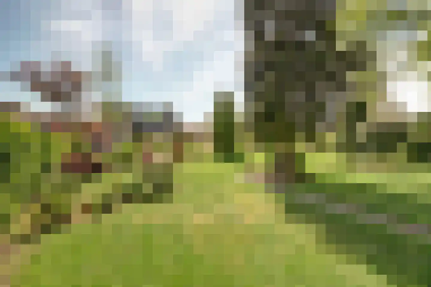 Hoge Stelle 49 Nieuw- en Sint Joosland thumbnail 5