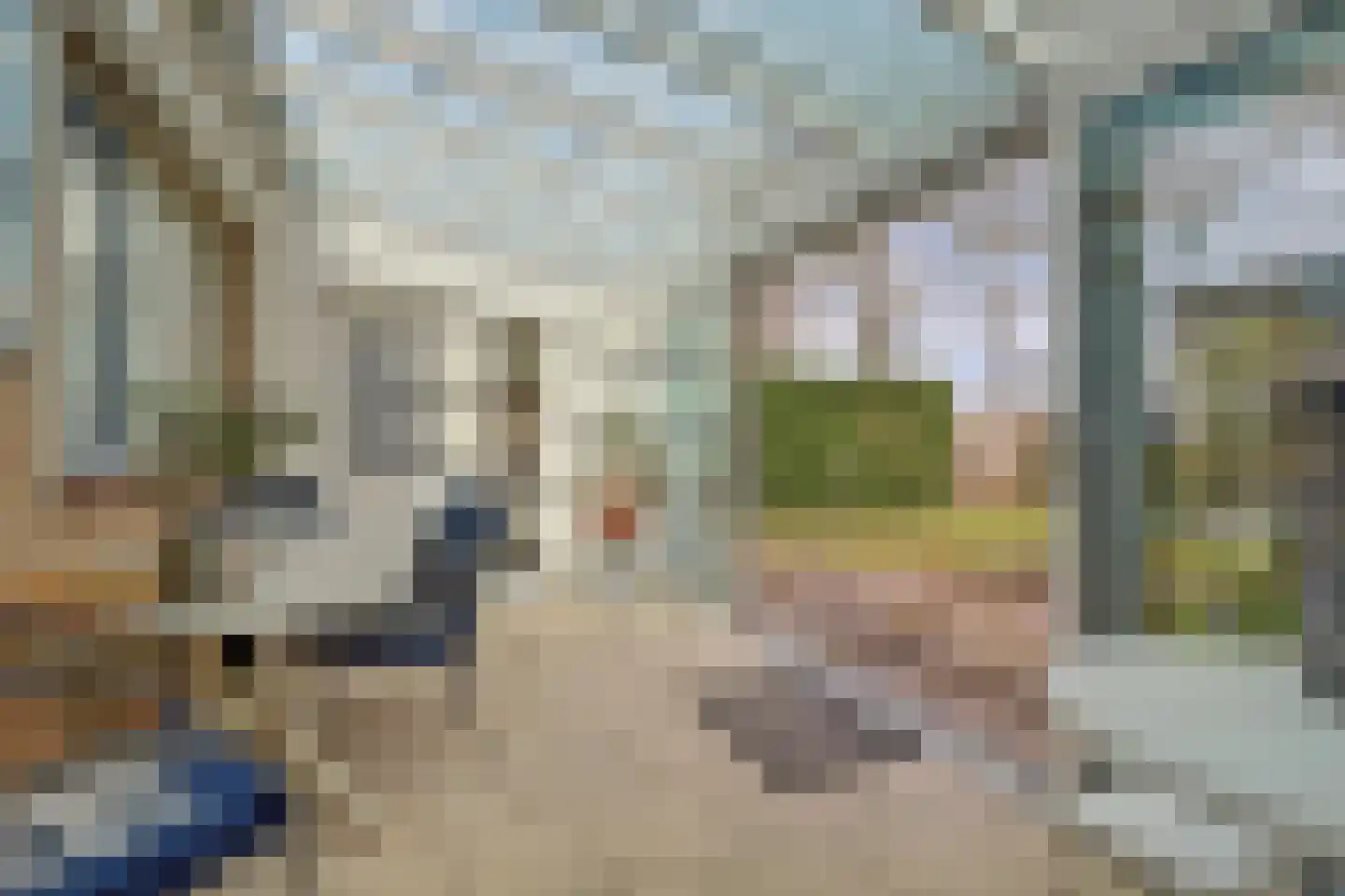 Hoge Stelle 63 Nieuw- en Sint Joosland thumbnail 29