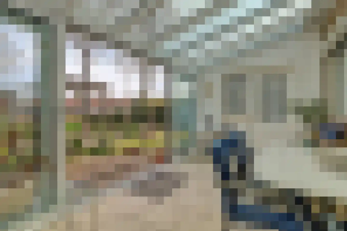 Hoge Stelle 63 Nieuw- en Sint Joosland thumbnail 30
