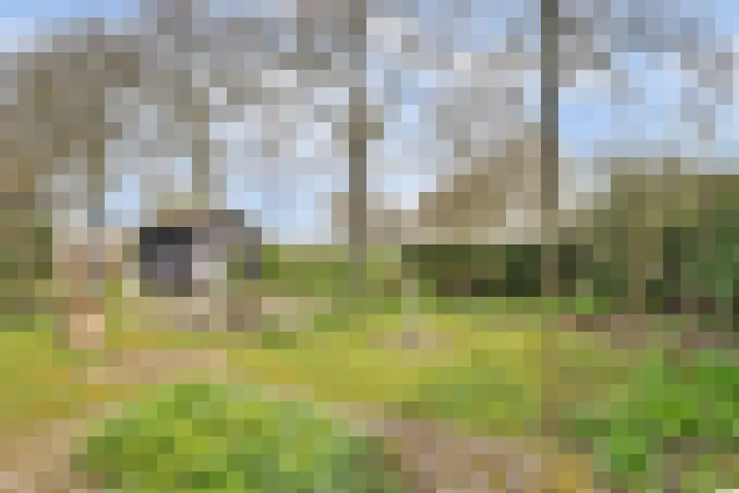 Hoge Stelle 63 Nieuw- en Sint Joosland thumbnail 37