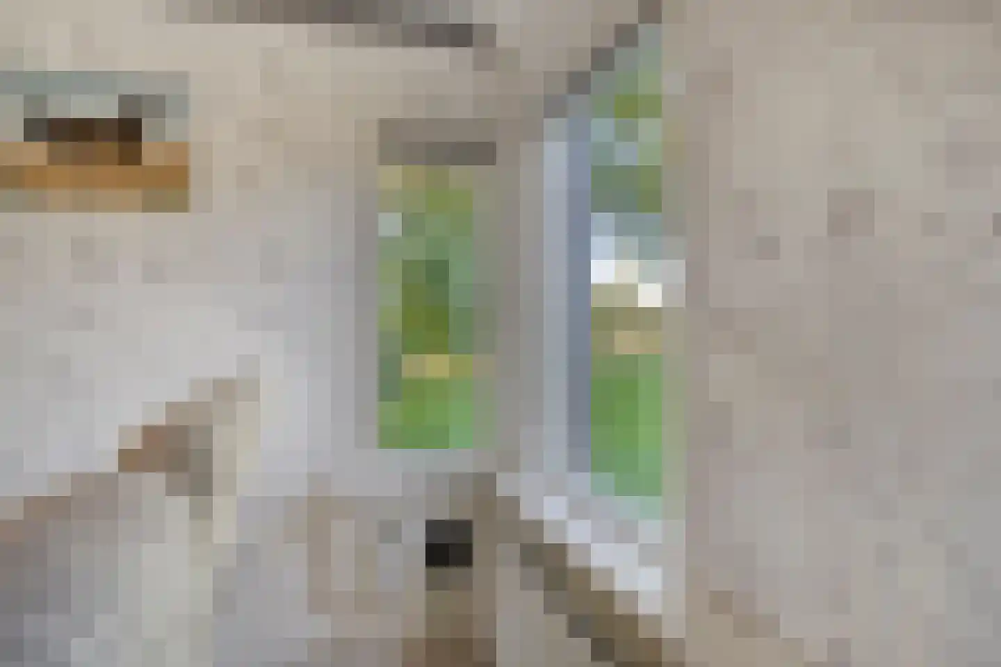 Hoge Tilweg 18 Boerakker thumbnail 14