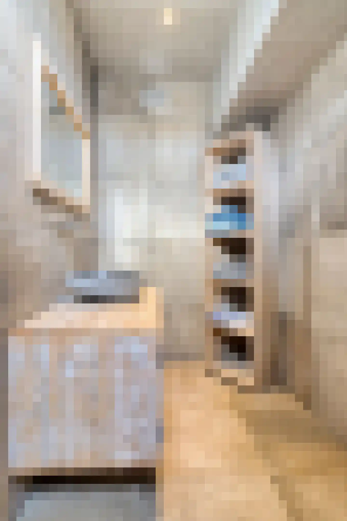 Hoge Tilweg 18 Boerakker thumbnail 20