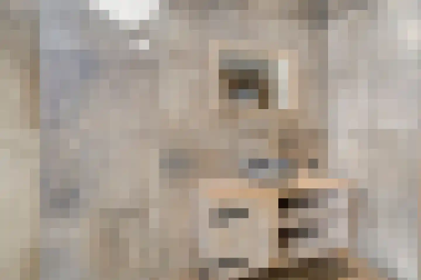 Hoge Tilweg 18 Boerakker thumbnail 21