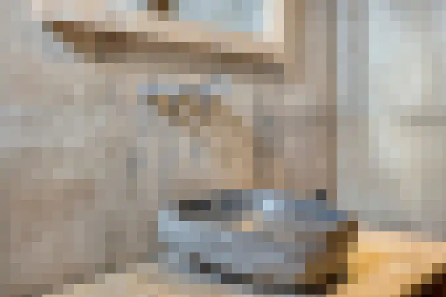 Hoge Tilweg 18 Boerakker thumbnail 22