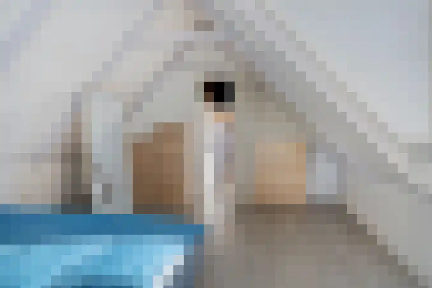 Hoge Tilweg 18 Boerakker thumbnail 26