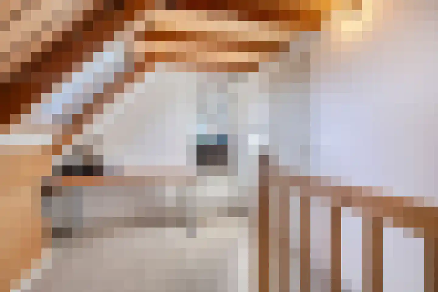 Hoge Tilweg 18 Boerakker thumbnail 29