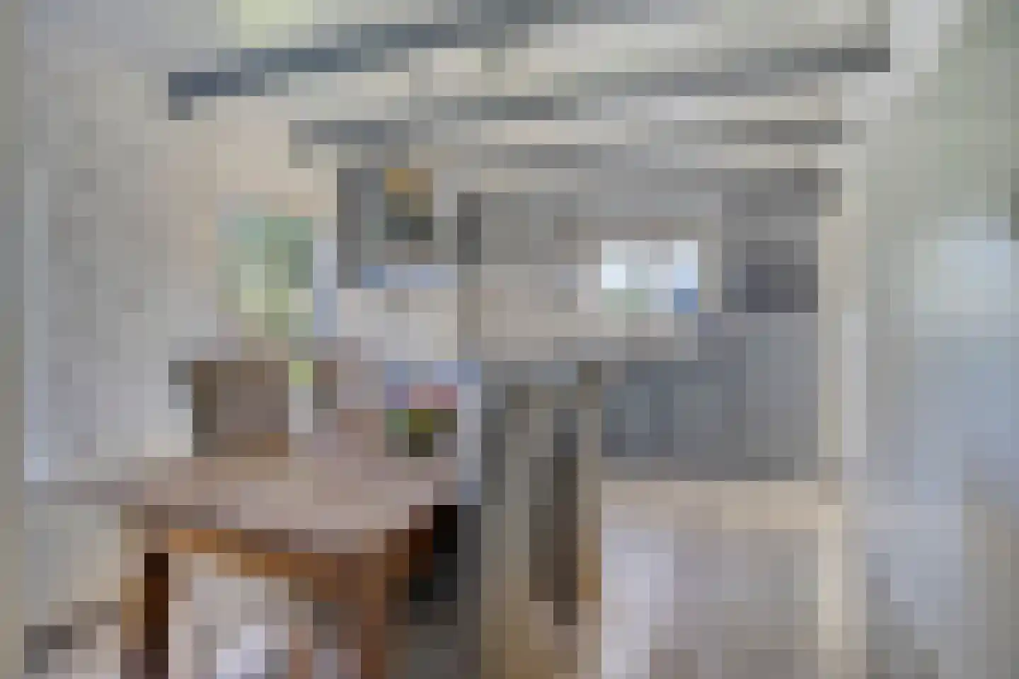 Hoge Tilweg 18 Boerakker thumbnail 5