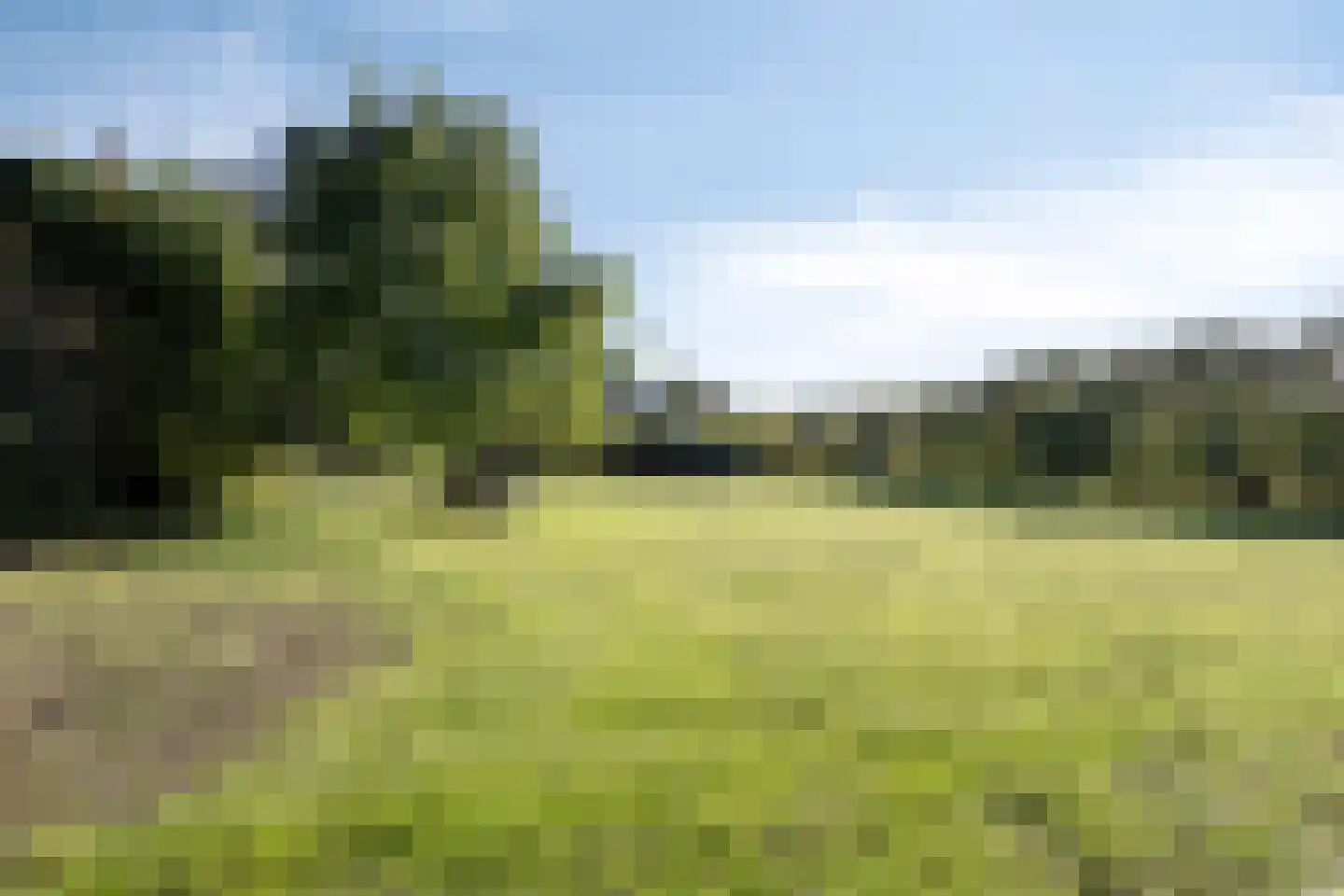Hoge Tilweg 18 Boerakker thumbnail 6