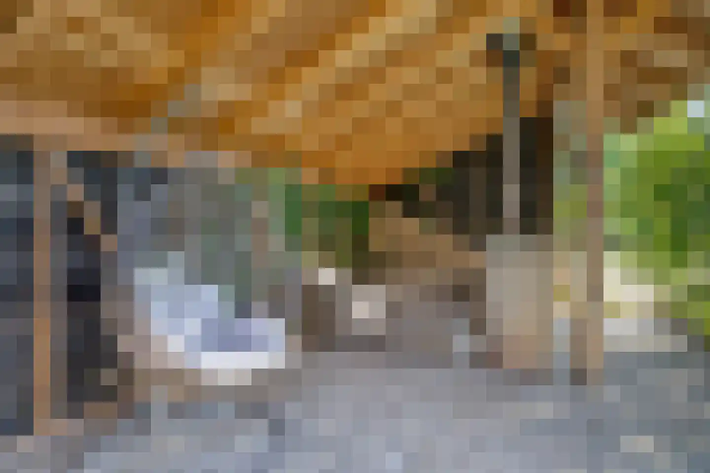 Hoge Tilweg 18 Boerakker thumbnail 9