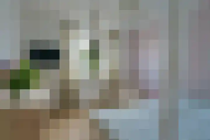 Hoge Tom 43 Nuenen thumbnail 26