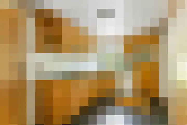 Hoge Vaartkant 141 Etten-Leur thumbnail 11