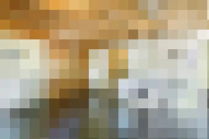 Hoge Vaartkant 141 Etten-Leur thumbnail 14