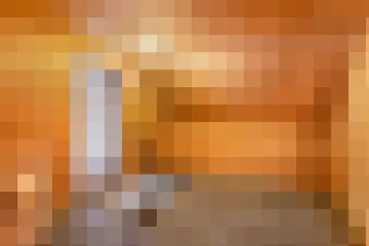 Hoge Vaartkant 141 Etten-Leur thumbnail 18
