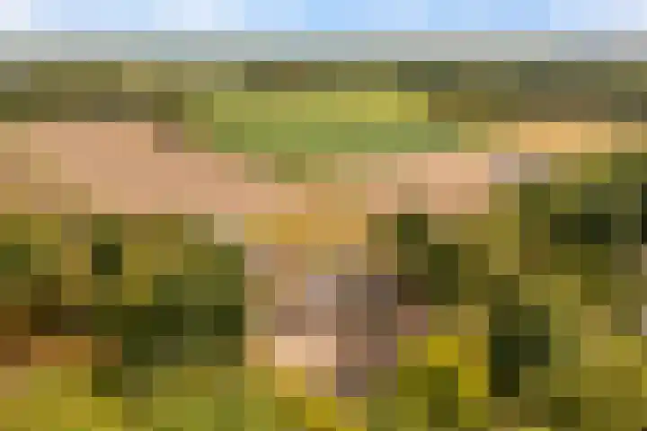 Hoge Vaartkant 141 Etten-Leur foto 2