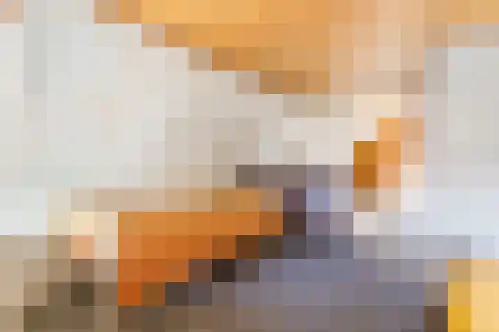 Hoge Vaartkant 141 Etten-Leur thumbnail 21