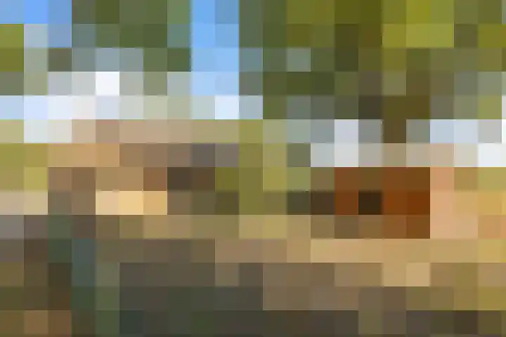 Hoge Vaartkant 141 Etten-Leur thumbnail 22