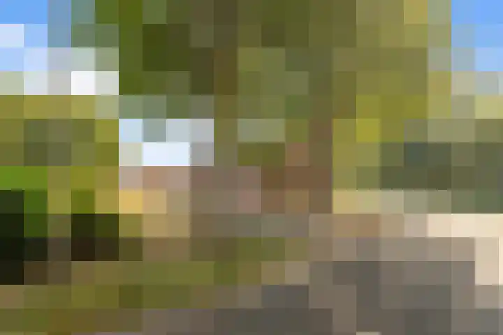 Hoge Vaartkant 141 Etten-Leur thumbnail 34