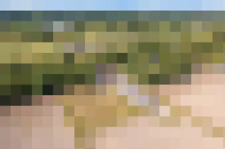 Hoge Vaartkant 141 Etten-Leur thumbnail 35