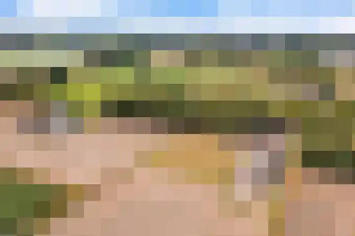 Hoge Vaartkant 141 Etten-Leur thumbnail 36
