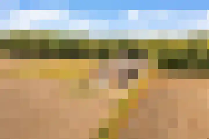 Hoge Vaartkant 141 Etten-Leur thumbnail 37